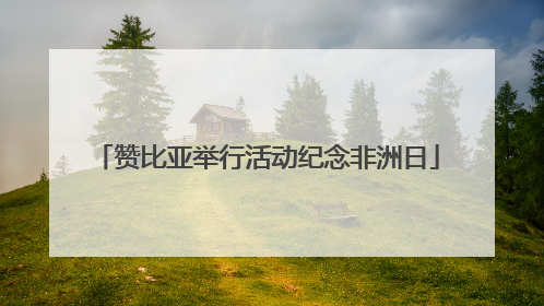 赞比亚举行活动纪念非洲日