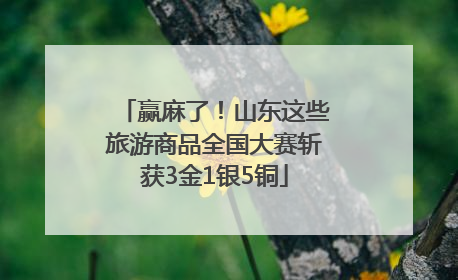 赢麻了！山东这些旅游商品全国大赛斩获3金1银5铜