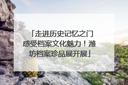 走进历史记忆之门 感受档案文化魅力！潍坊档案珍品展开展