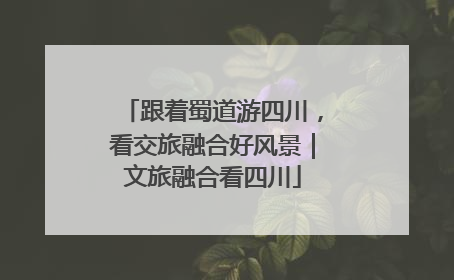 跟着蜀道游四川，看交旅融合好风景｜文旅融合看四川