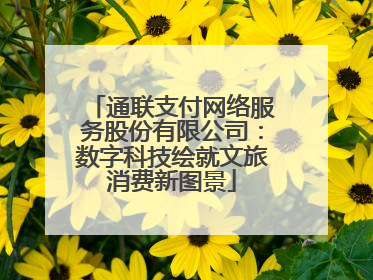 通联支付网络服务股份有限公司：数字科技绘就文旅消费新图景