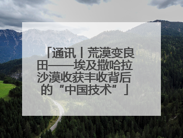 通讯丨荒漠变良田——埃及撒哈拉沙漠收获丰收背后的“中国技术”