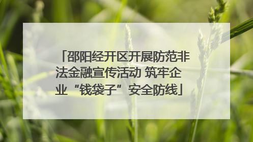 邵阳经开区开展防范非法金融宣传活动 筑牢企业“钱袋子”安全防线