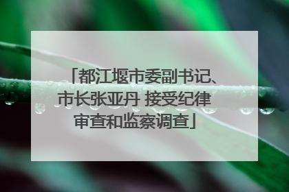 都江堰市委副书记、市长张亚丹 接受纪律审查和监察调查