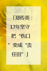郑传英：17年坚守 把“伤口”变成“责任田”