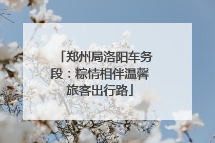 郑州局洛阳车务段：粽情相伴温馨旅客出行路