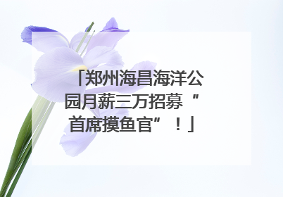 郑州海昌海洋公园月薪三万招募“首席摸鱼官”！