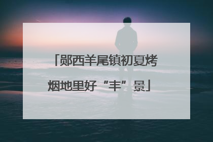 郧西羊尾镇初夏烤烟地里好“丰”景