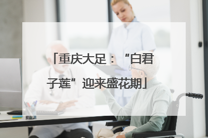 重庆大足：“白君子莲”迎来盛花期