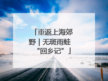 重返上海郊野｜无斑雨蛙“回乡记”