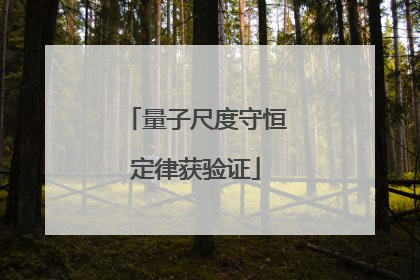 量子尺度守恒定律获验证