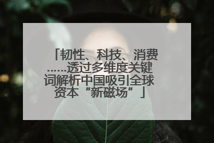 韧性、科技、消费……透过多维度关键词解析中国吸引全球资本“新磁场”