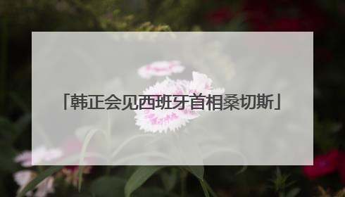 韩正会见西班牙首相桑切斯