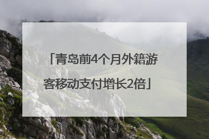 青岛前4个月外籍游客移动支付增长2倍