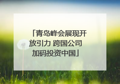 青岛峰会展现开放引力 跨国公司加码投资中国
