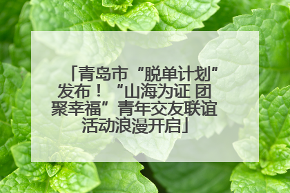 青岛市“脱单计划”发布！“山海为证 团聚幸福”青年交友联谊活动浪漫开启
