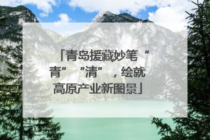 青岛援藏妙笔“青”“清”，绘就高原产业新图景