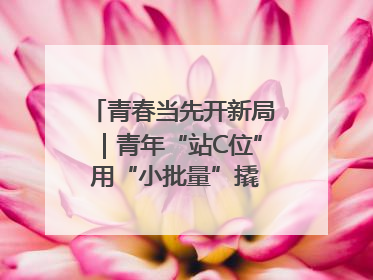 青春当先开新局｜青年“站C位” 用“小批量”撬动产业大变革