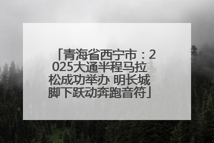 青海省西宁市：2025大通半程马拉松成功举办 明长城脚下跃动奔跑音符