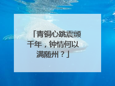 青铜心跳震颤千年，钟情何以满随州？
