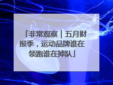 非常观察｜五月财报季，运动品牌谁在领跑谁在掉队