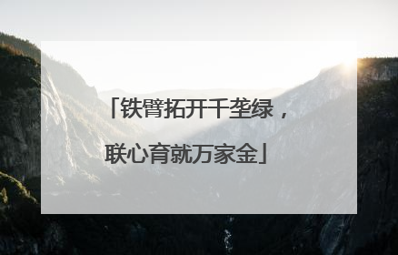 铁臂拓开千垄绿，联心育就万家金