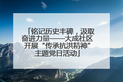 铭记历史丰碑，汲取奋进力量——大成社区开展“传承抗洪精神”主题党日活动