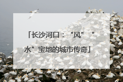 长沙河口：“风”“水”宝地的城市传奇