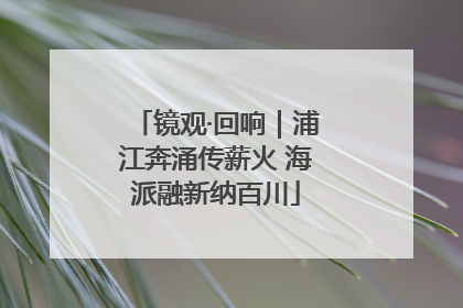 镜观·回响｜浦江奔涌传薪火 海派融新纳百川
