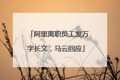 阿里离职员工发万字长文，马云回应
