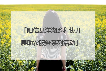 阳信县洋湖乡科协开展助农服务系列活动