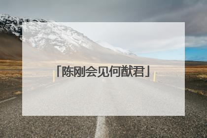 陈刚会见何猷君