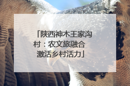 陕西神木王家沟村：农文旅融合 激活乡村活力