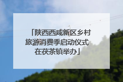 陕西西咸新区乡村旅游消费季启动仪式在茯茶镇举办