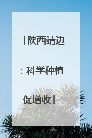 陕西靖边：科学种植促增收