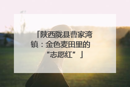 陕西陇县曹家湾镇：金色麦田里的“志愿红”