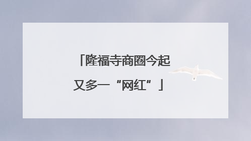 隆福寺商圈今起又多一“网红”