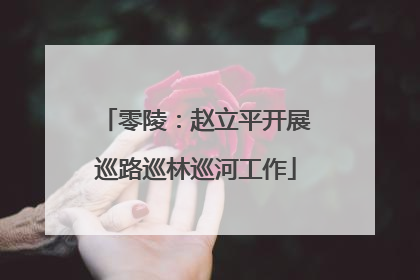 零陵：赵立平开展巡路巡林巡河工作