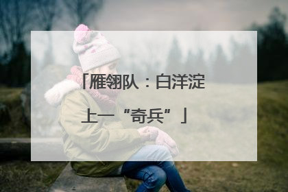 雁翎队：白洋淀上一“奇兵”