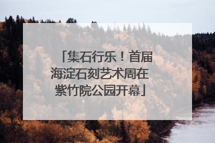 集石行乐！首届海淀石刻艺术周在紫竹院公园开幕