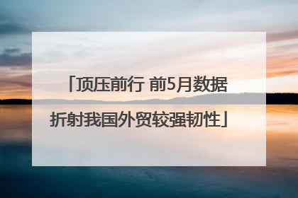 顶压前行 前5月数据折射我国外贸较强韧性
