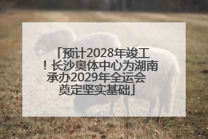 预计2028年竣工！长沙奥体中心为湖南承办2029年全运会奠定坚实基础