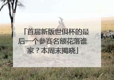 首届新版世俱杯的最后一个参赛名额花落谁家？本周末揭晓