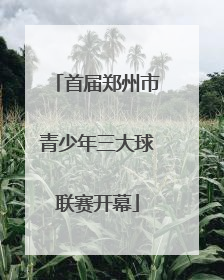 首届郑州市青少年三大球联赛开幕