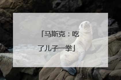 马斯克：吃了儿子一拳