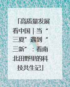 高质量发展看中国｜当“三夏”遇到“三新”：看南北田野里的科技共生记