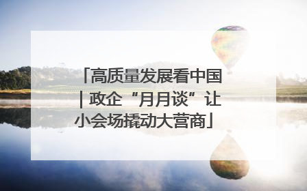 高质量发展看中国｜政企“月月谈”让小会场撬动大营商
