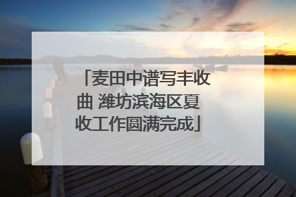 麦田中谱写丰收曲 潍坊滨海区夏收工作圆满完成