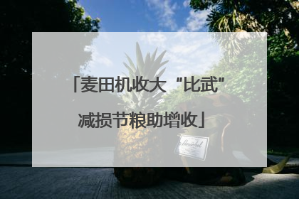 麦田机收大“比武” 减损节粮助增收