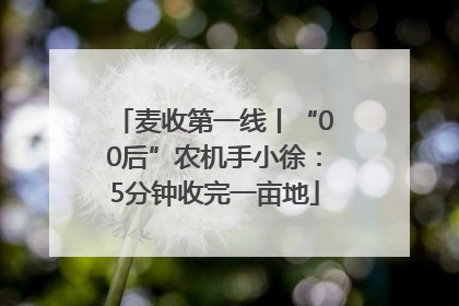 麦收第一线丨“00后”农机手小徐：5分钟收完一亩地